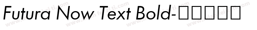 Futura Now Text Bold字体转换